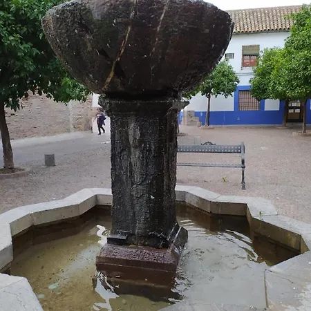 Casa Típica De Apartamento *