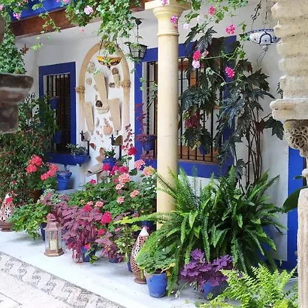 Appartement Casa Tipica De